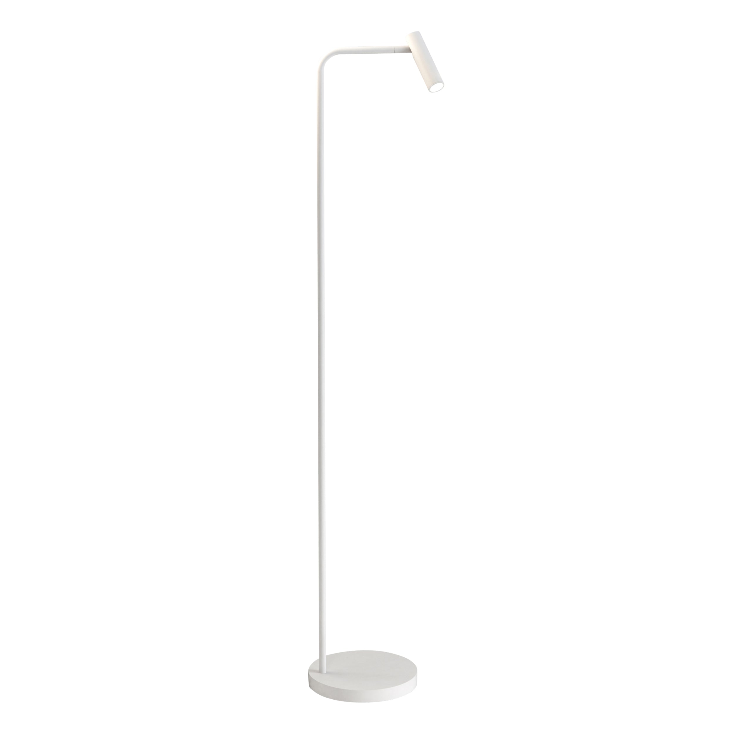 Enna LED Floor Lamp - Various Finishes