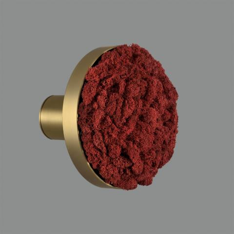 Chamaleon Wall Light- Various Finishes