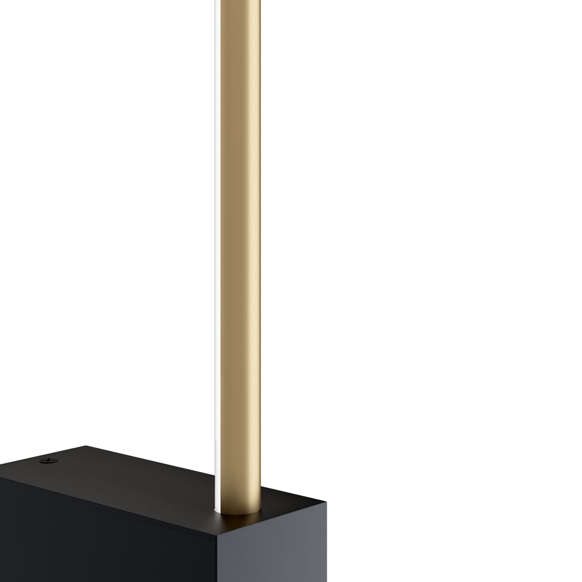 Pars Indoor LED Wall Light - Various Style & Black With Gold Finish