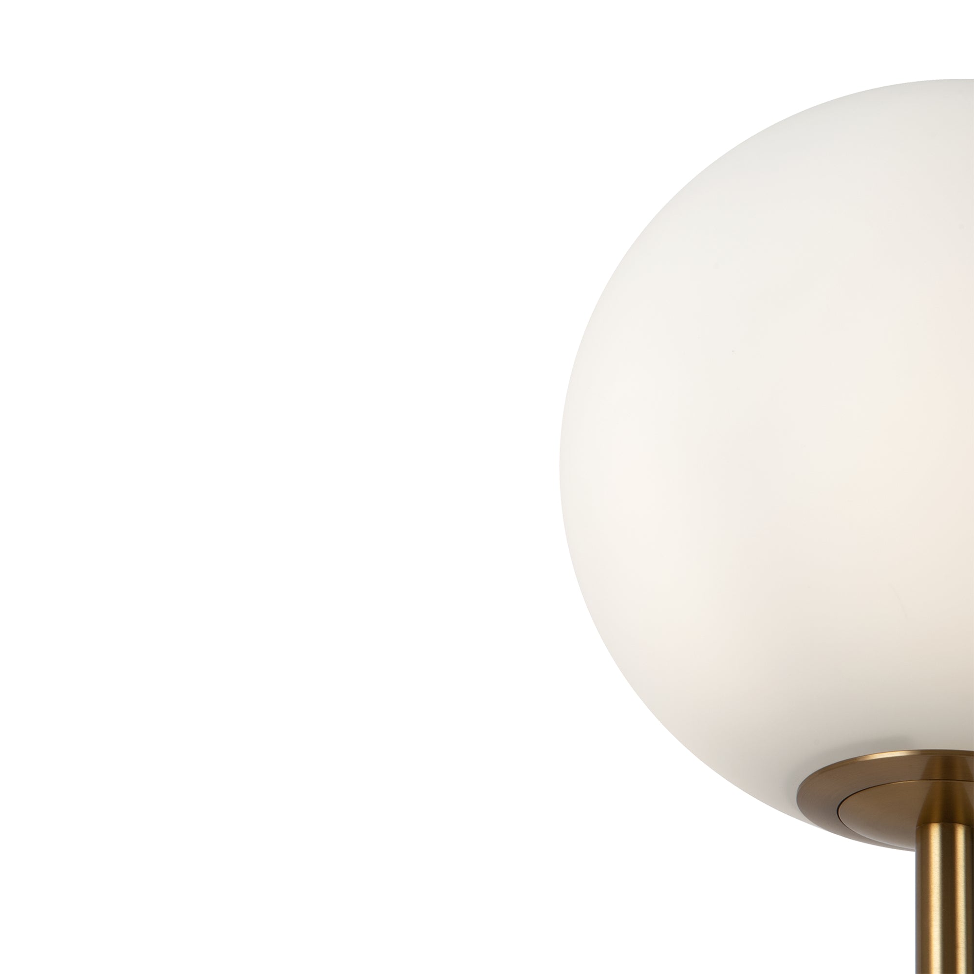 Ring Floor Lamp - Black/Brass Finish