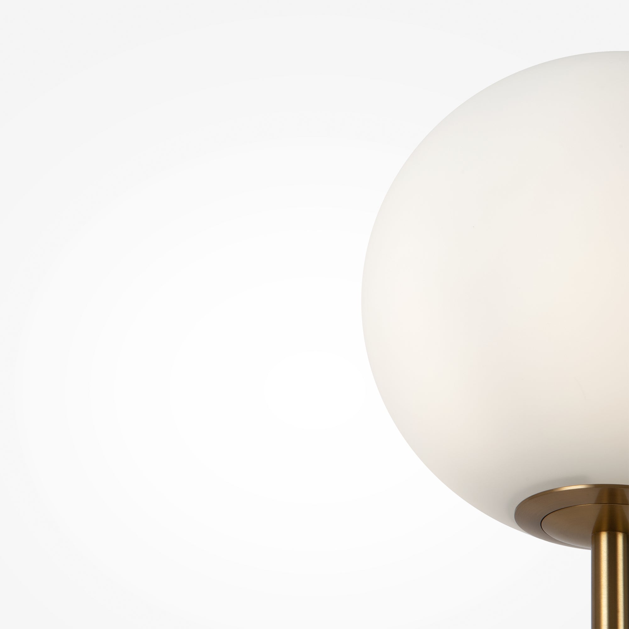 Ring Floor Lamp - Black/Brass Finish