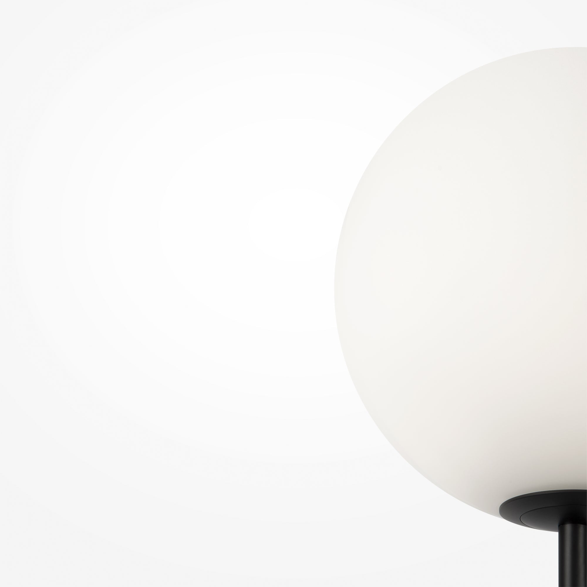 Ring Floor Lamp - Black/Brass Finish