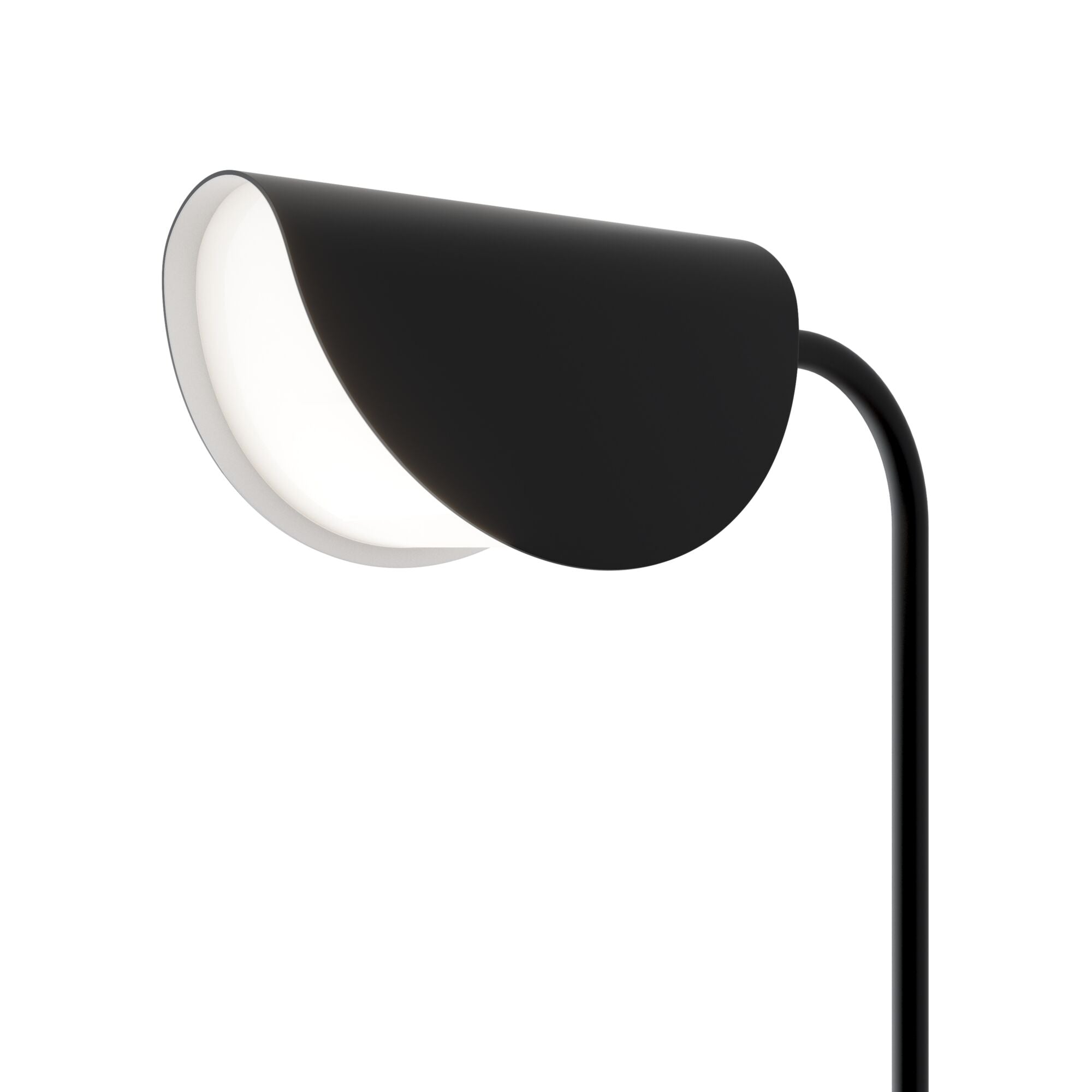 Mollis Floor Lamp - Black Finish