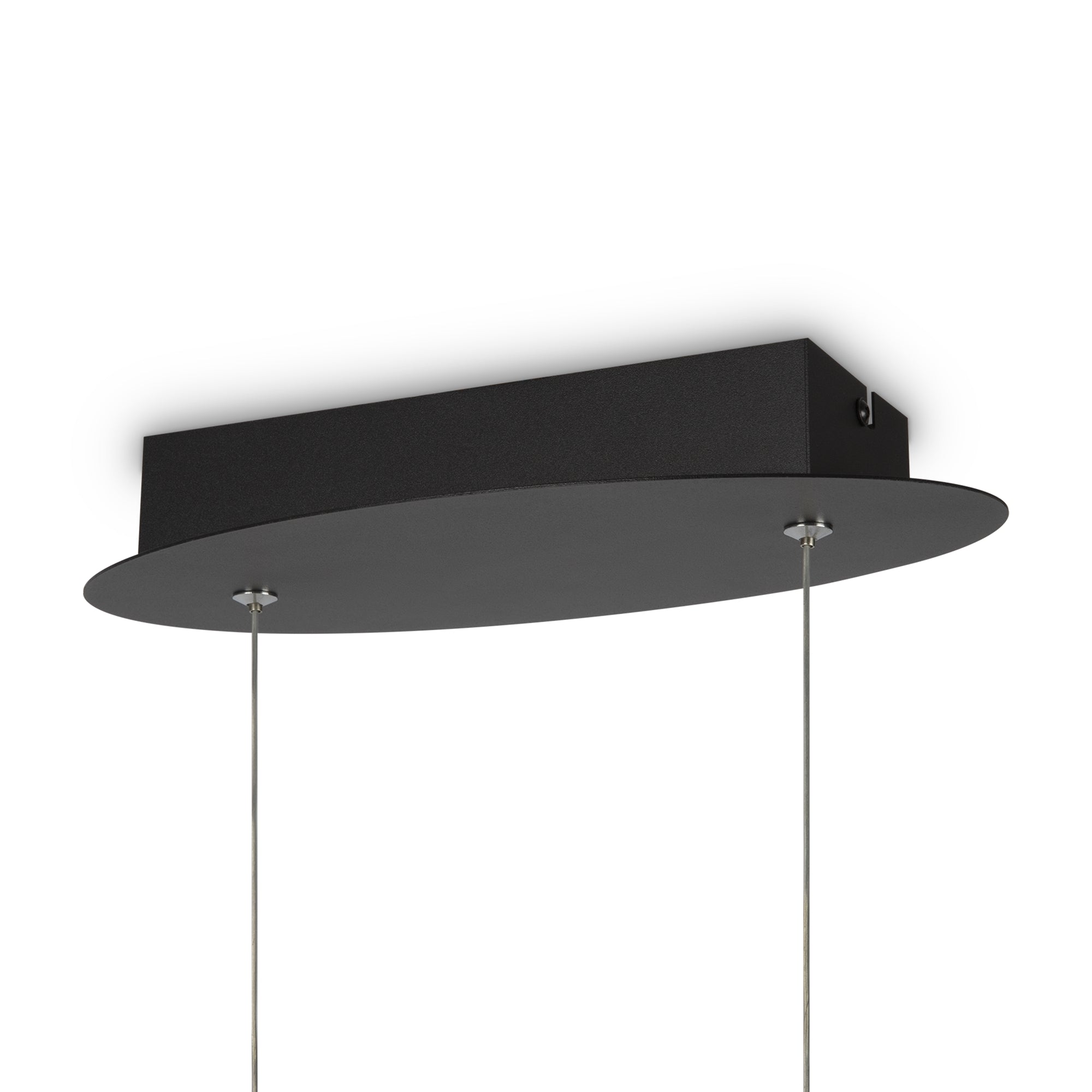 Curve LED Hanging Ceiling Light