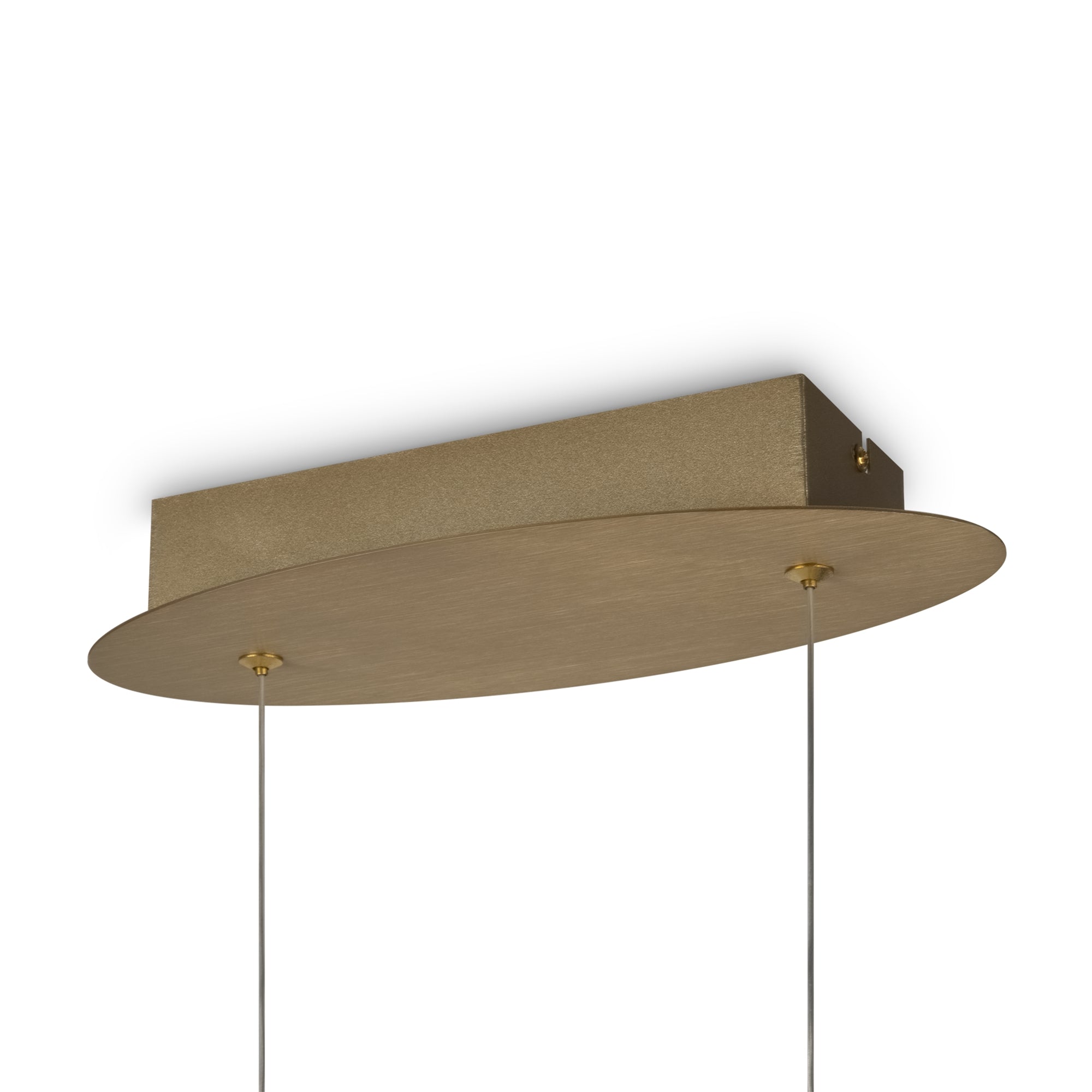 Curve LED Hanging Ceiling Light