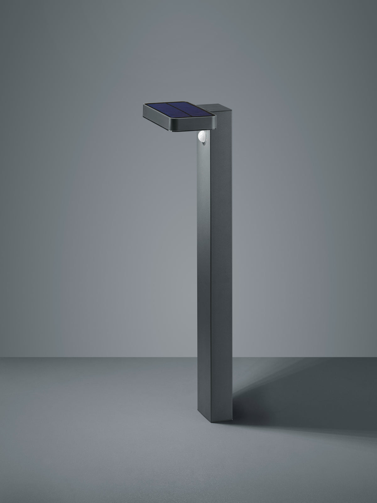 Esquel LED Solar Powered Pole 