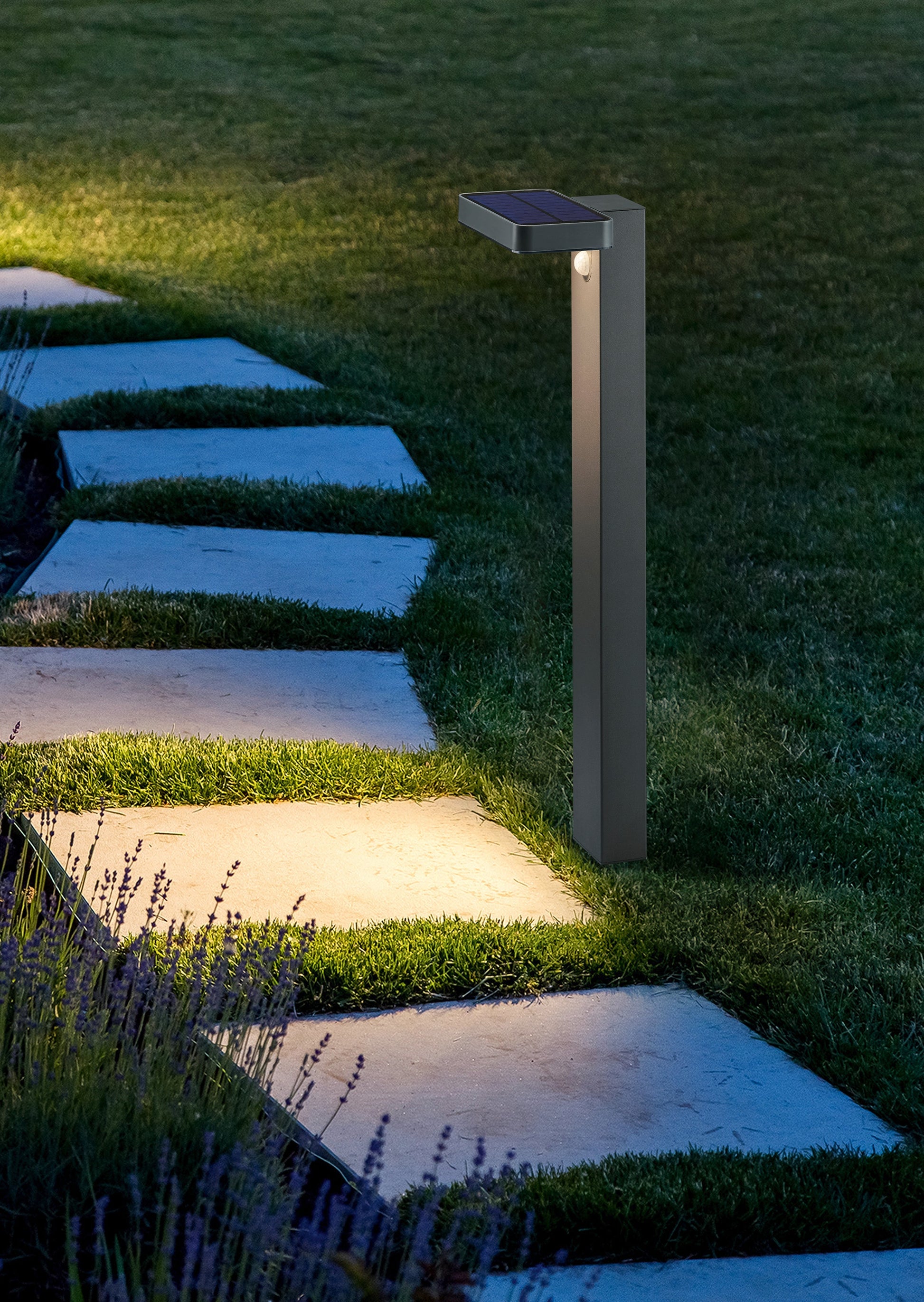 Esquel LED Solar Powered Pole 