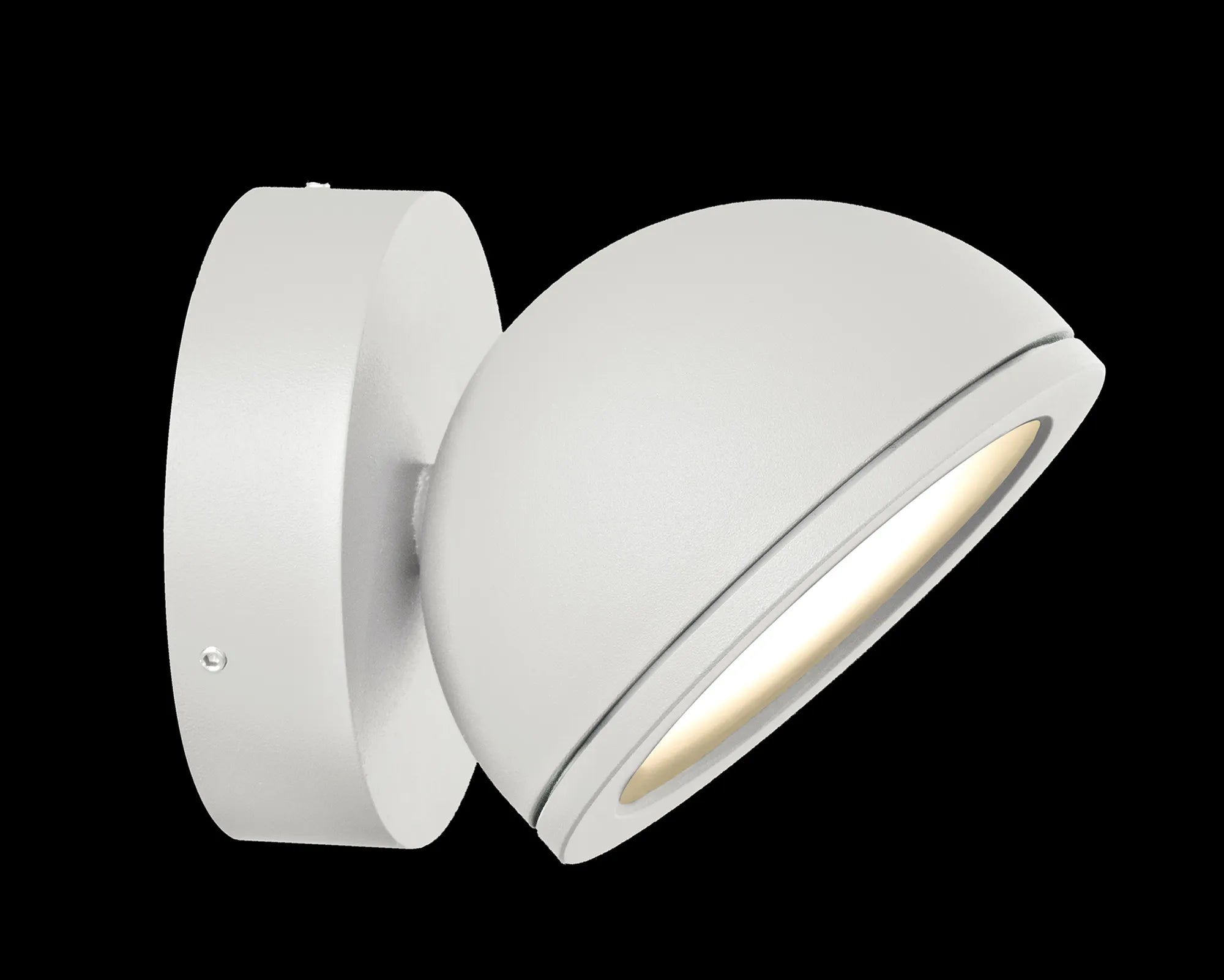 Everest Wall Spot Light