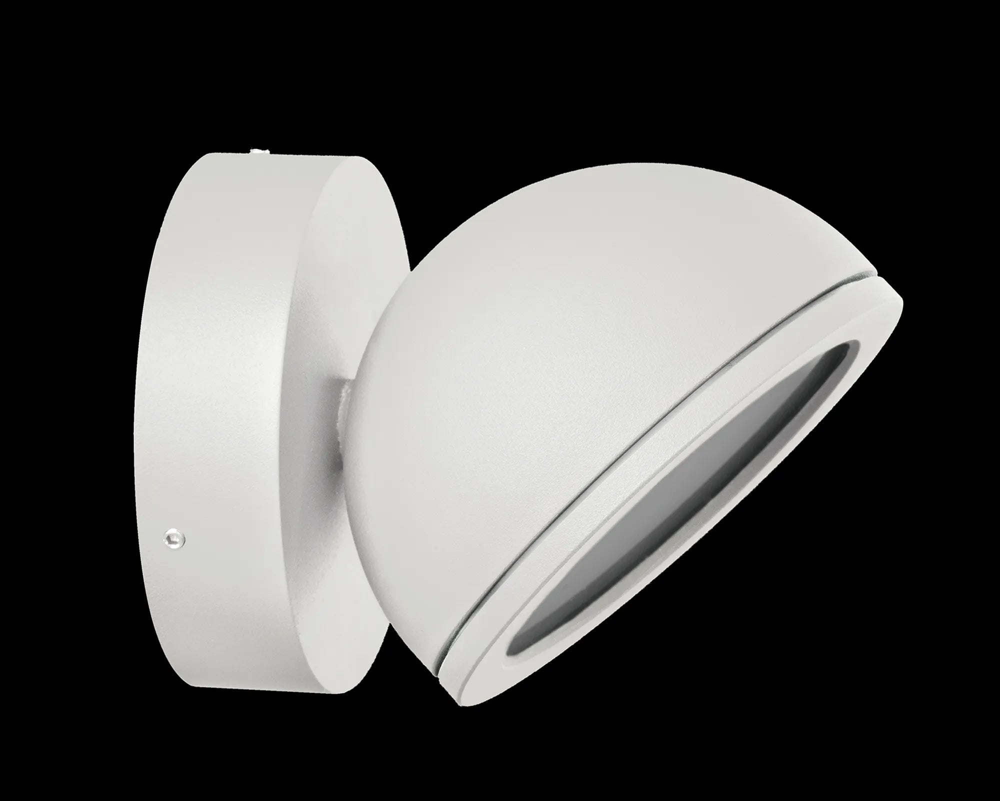 Everest Wall Spot Light