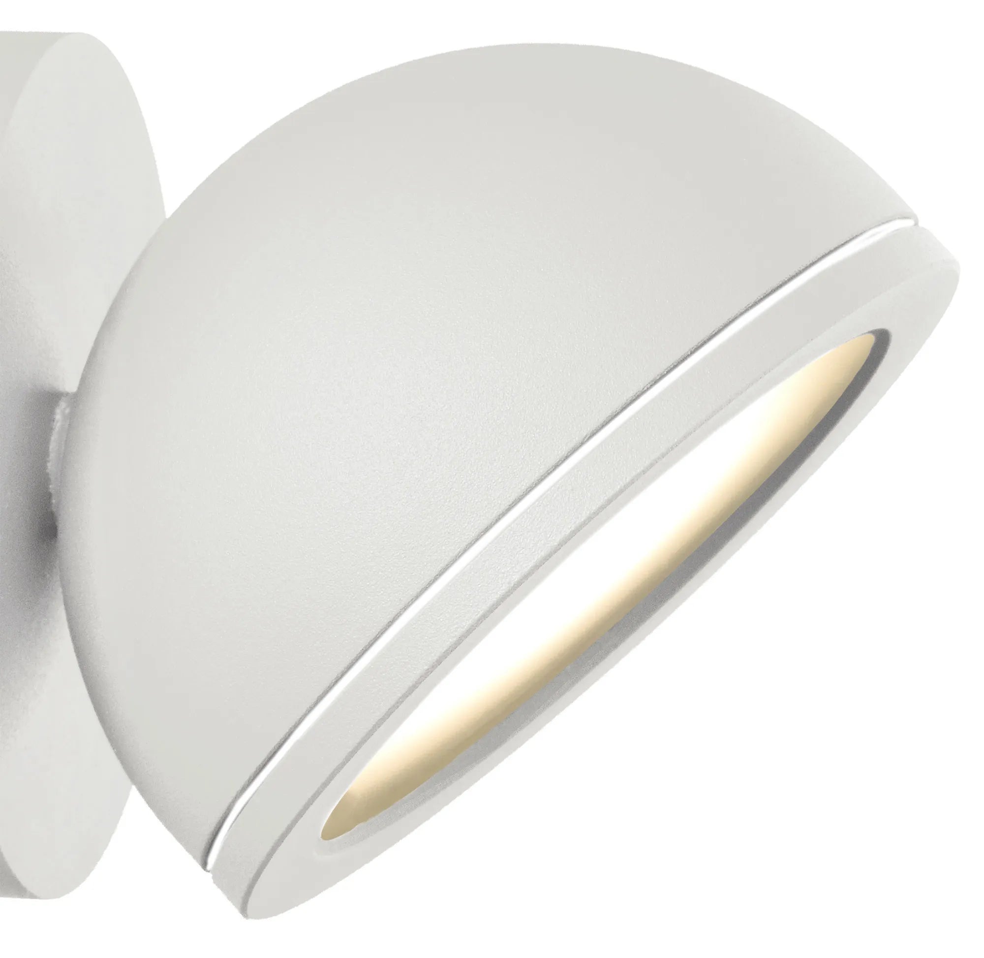 Everest Wall Spot Light