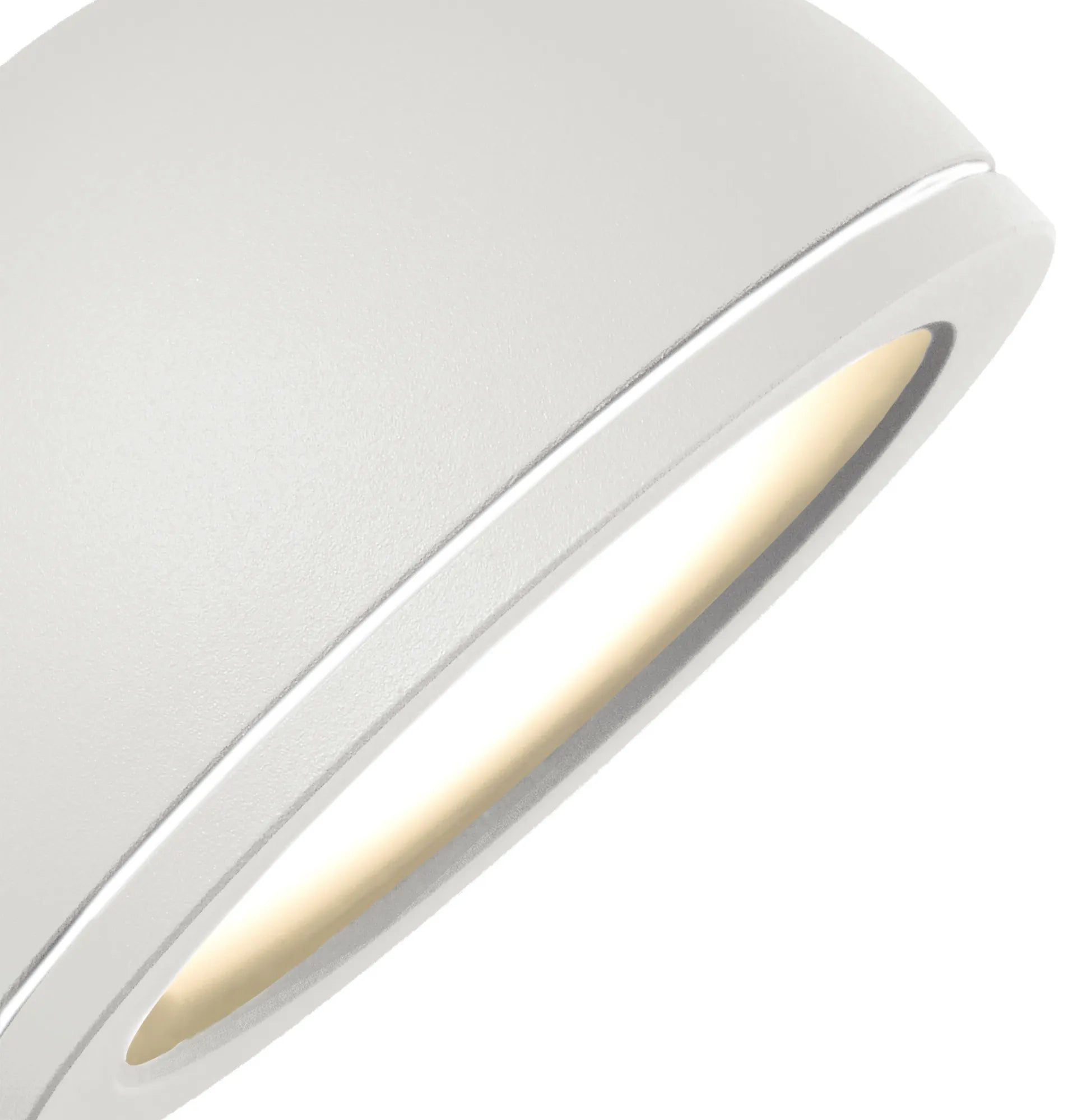 Everest Wall Spot Light