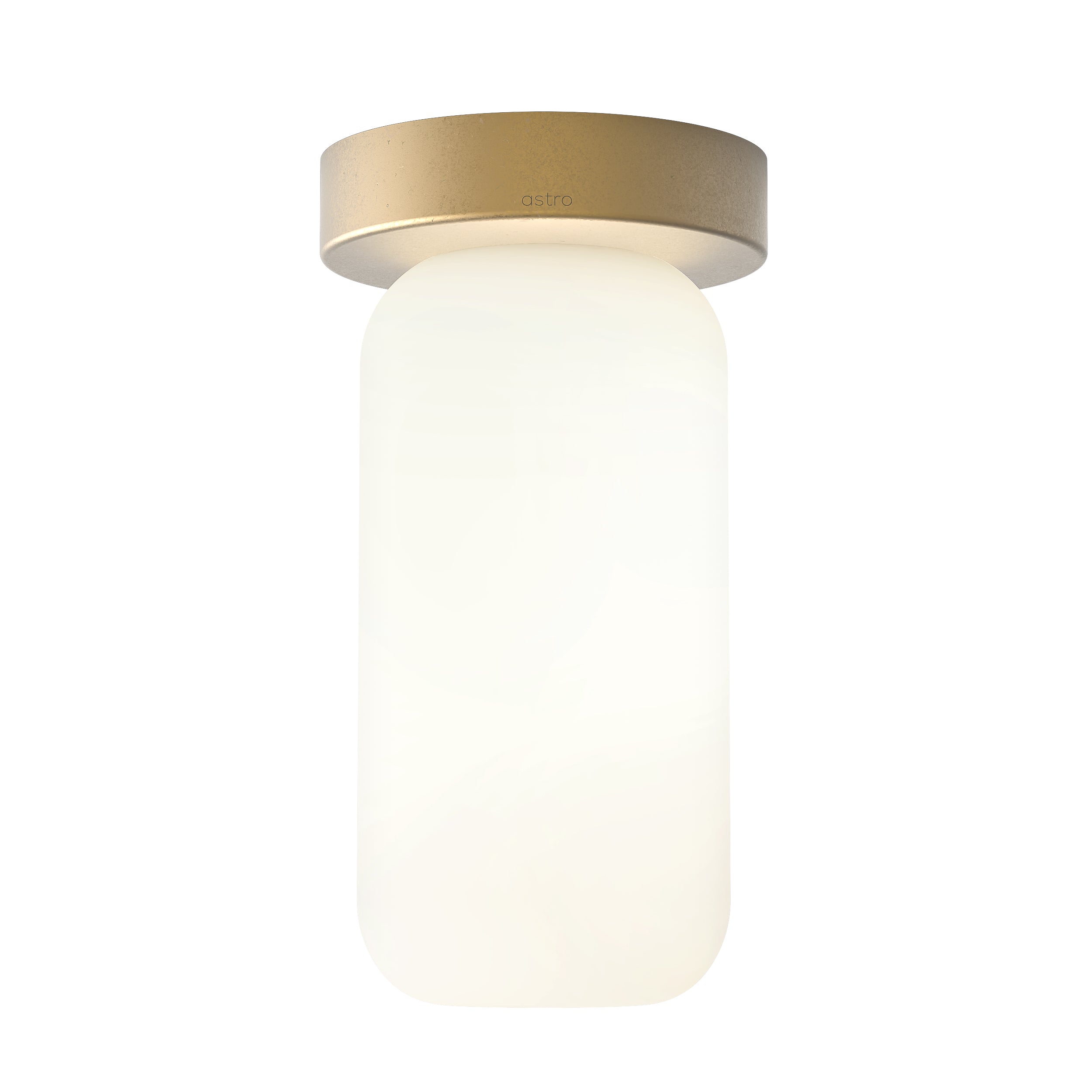Tacoma Reed Glass