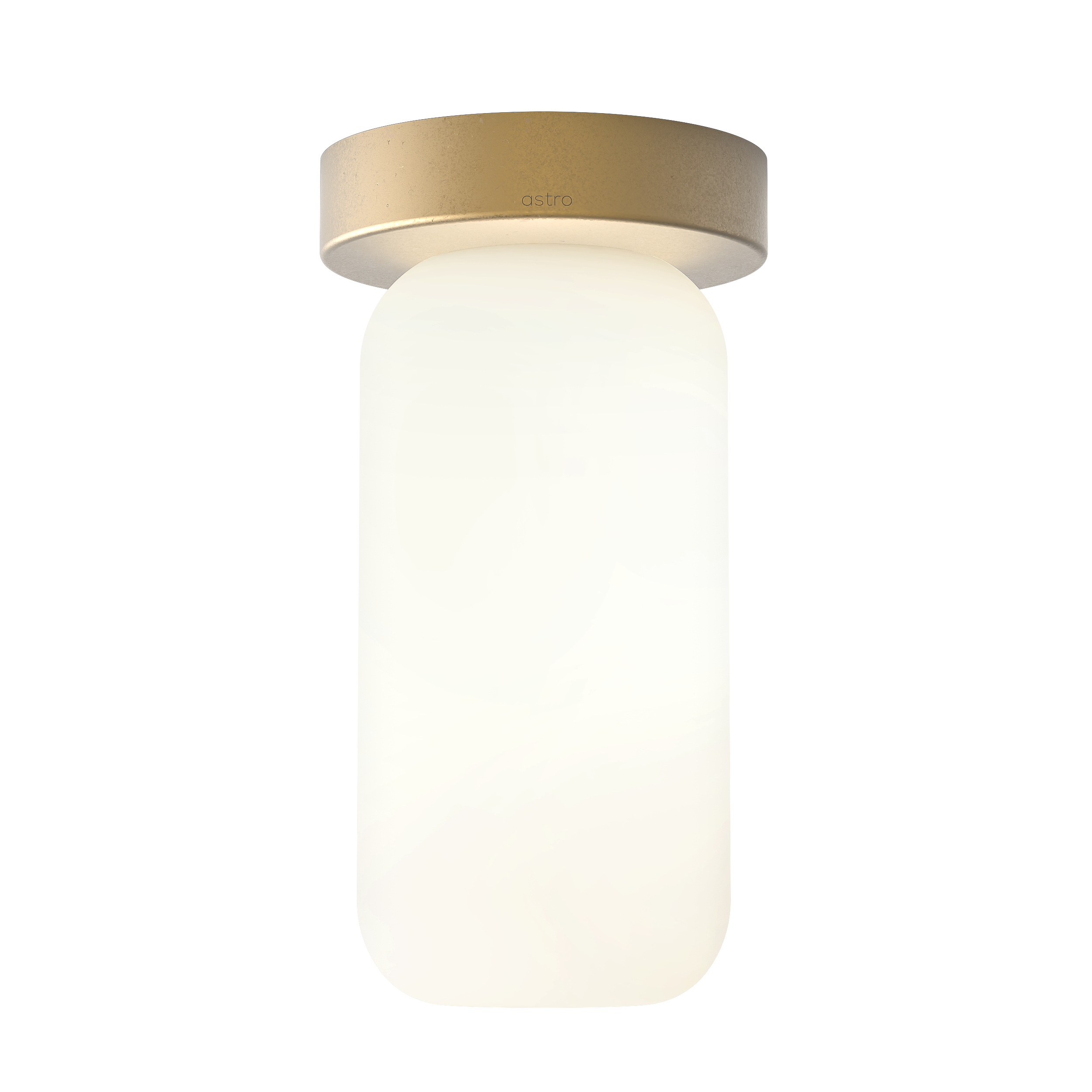 Tacoma Reed Glass