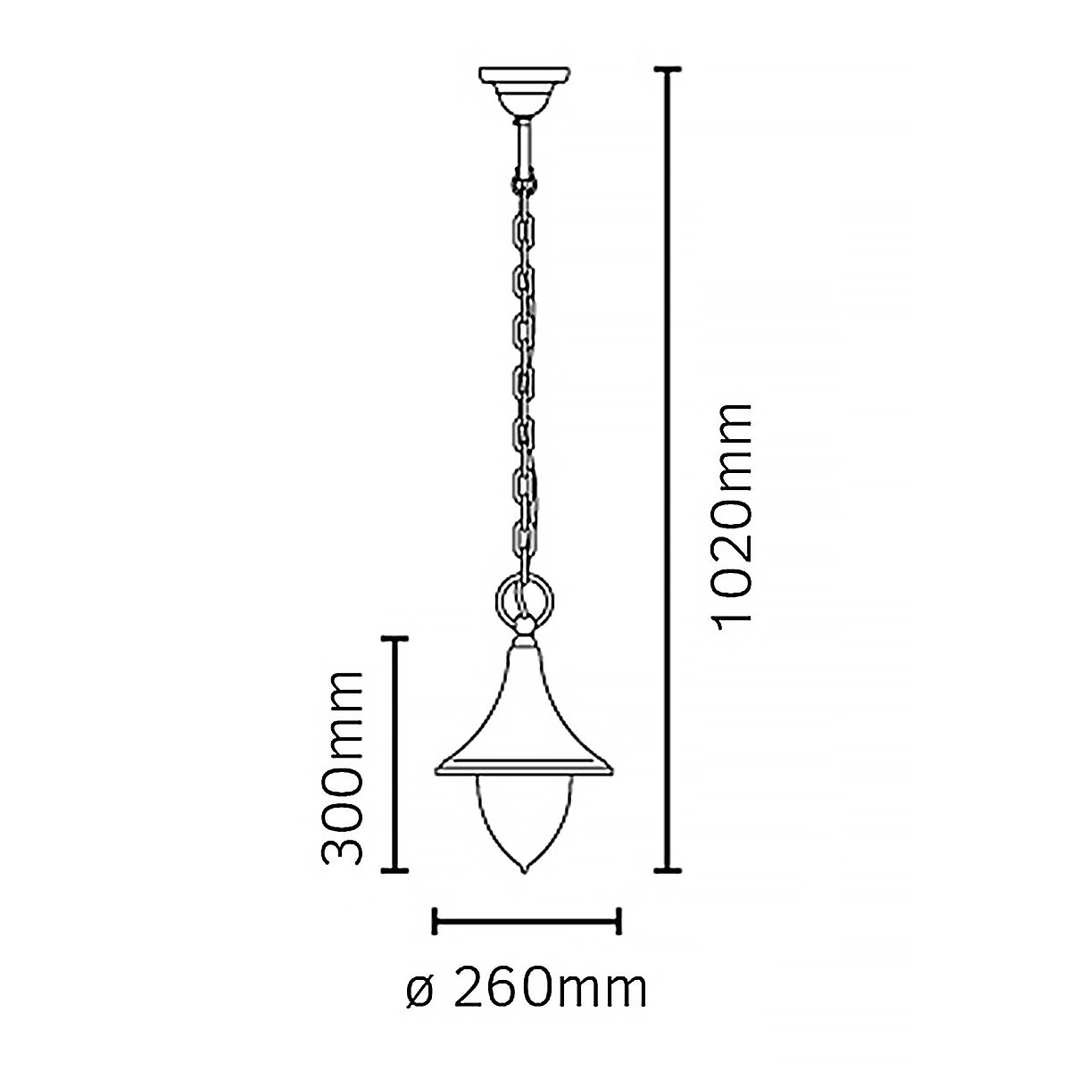 Firenze 1 Light Chain Lantern - Black IP54 E27