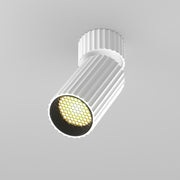 Calipso Directional Spotlight- Various Colors