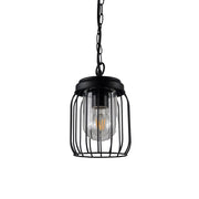 Finch IP44 Black Cage Hanging Pendant Light