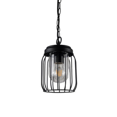 Finch IP44 Black Cage Hanging Pendant Light