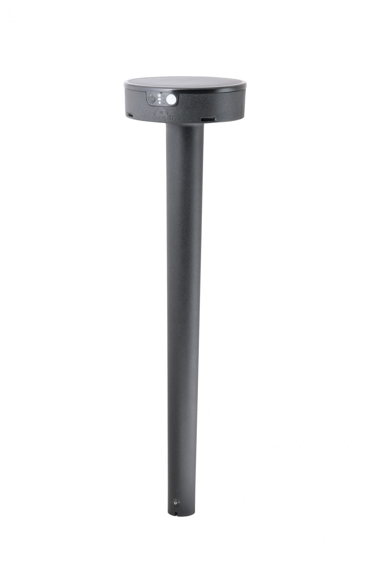 Fiorina 2W 560mm Bollard Spike/ Ground Black Solar PIR CCT