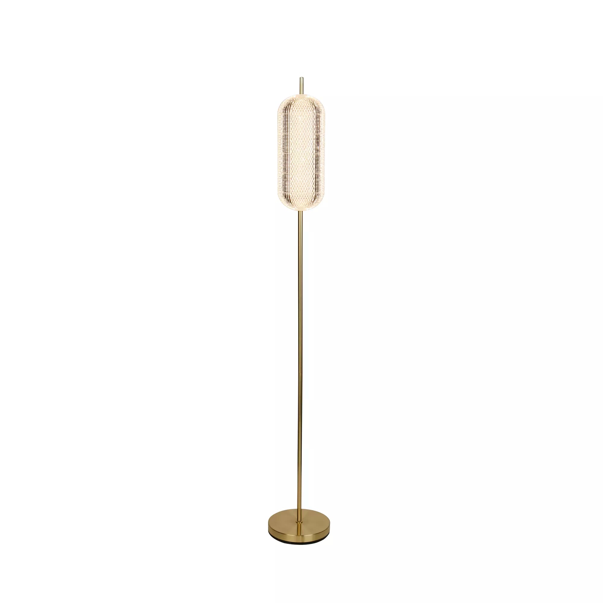 Capsule LED Floor Lamp- Satin Brass Metal and Acrylic Shade