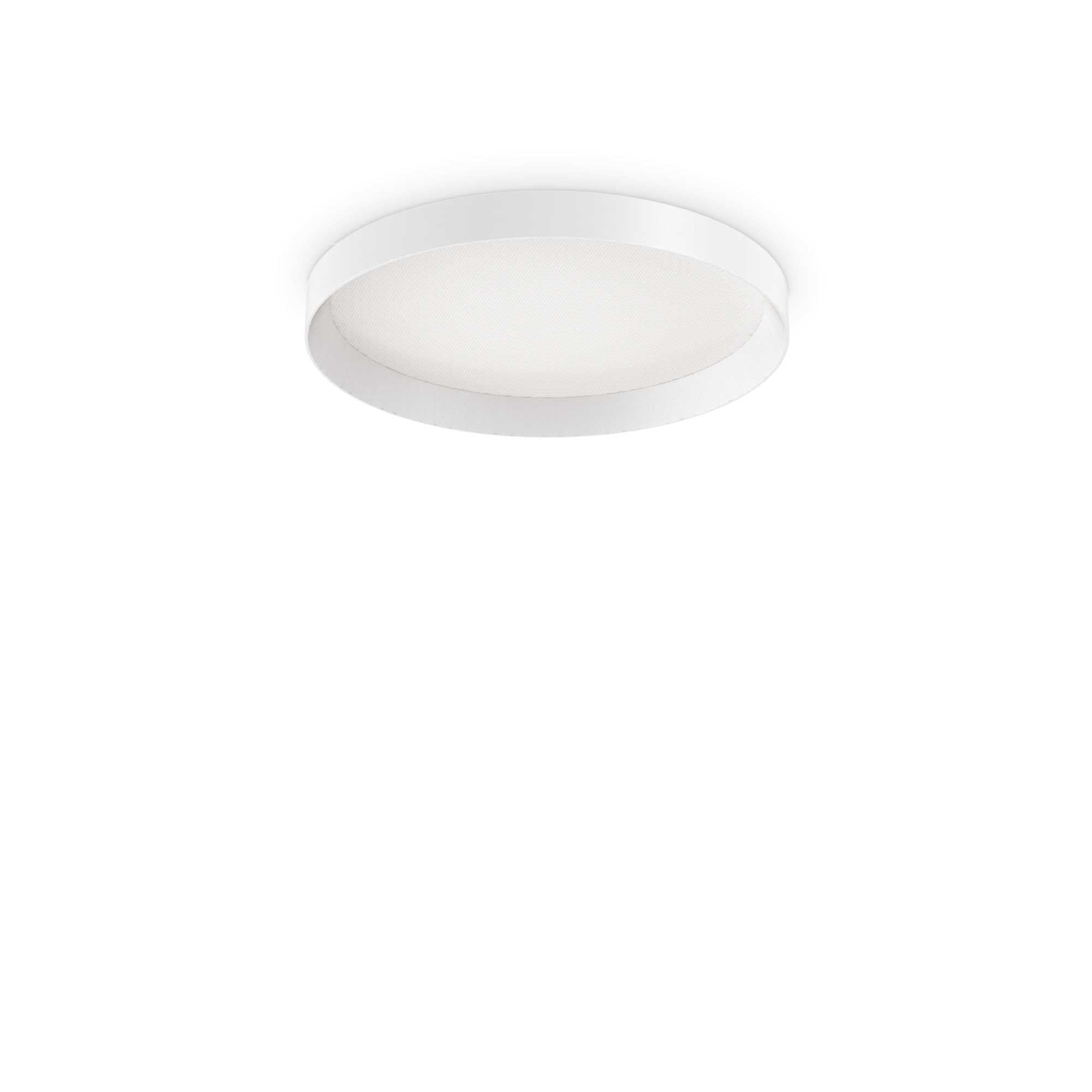 Fly Flush Light - Various Type - Cusack Lighting