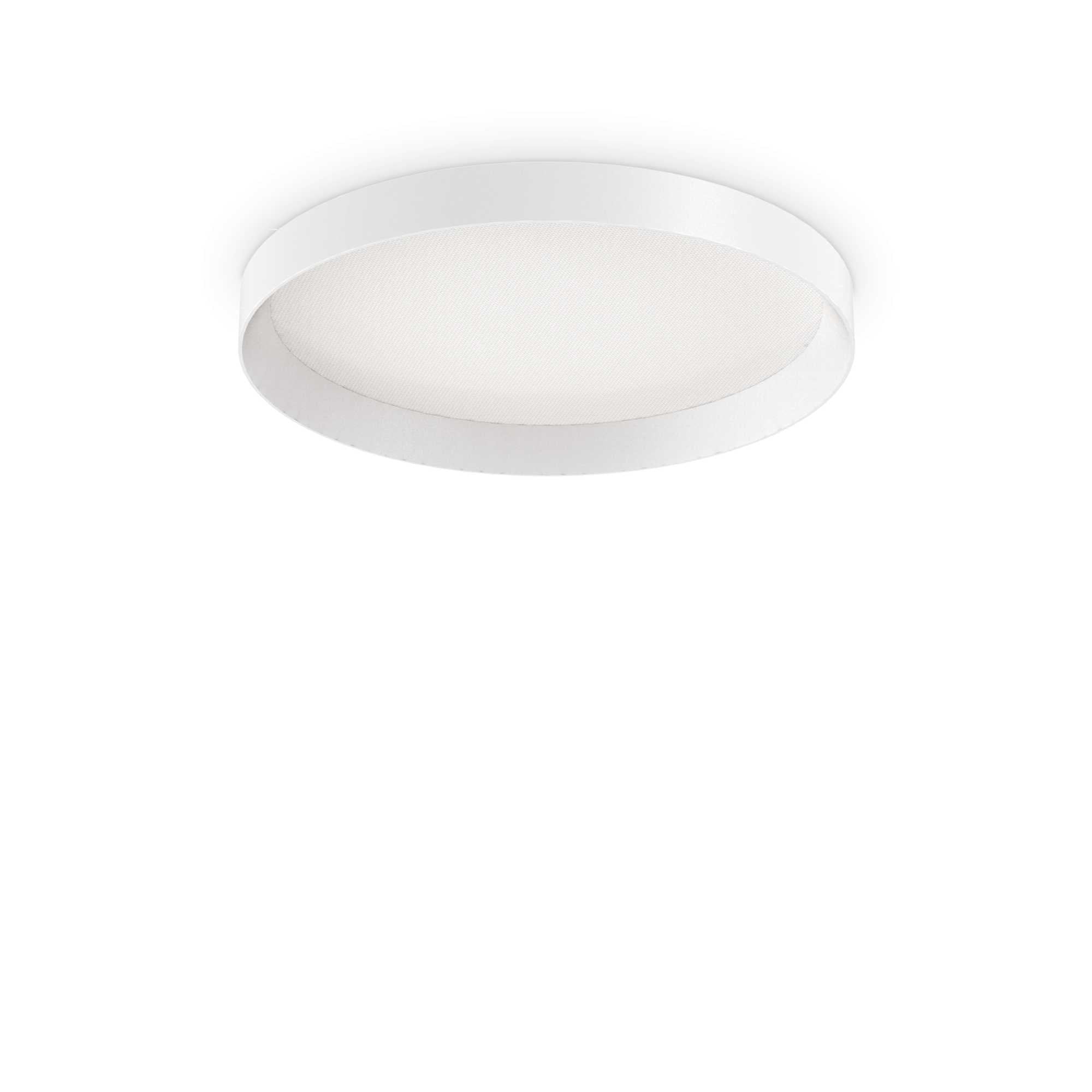 Fly Flush Light - Various Type - Cusack Lighting