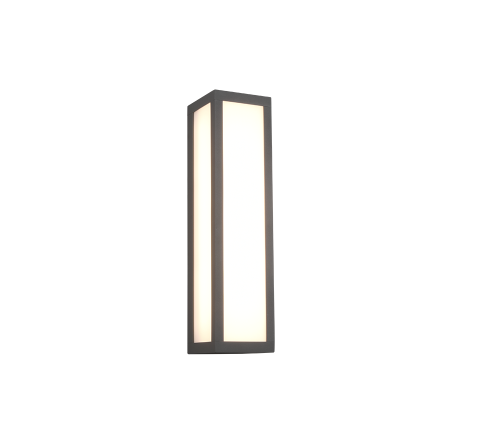 Fuerte Anthracite IP54 Outdoor LED Wall Light