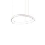 Gemini LED Ceiling Light Various Sizes - White/BlackBrass Finish - Cusack Lighting