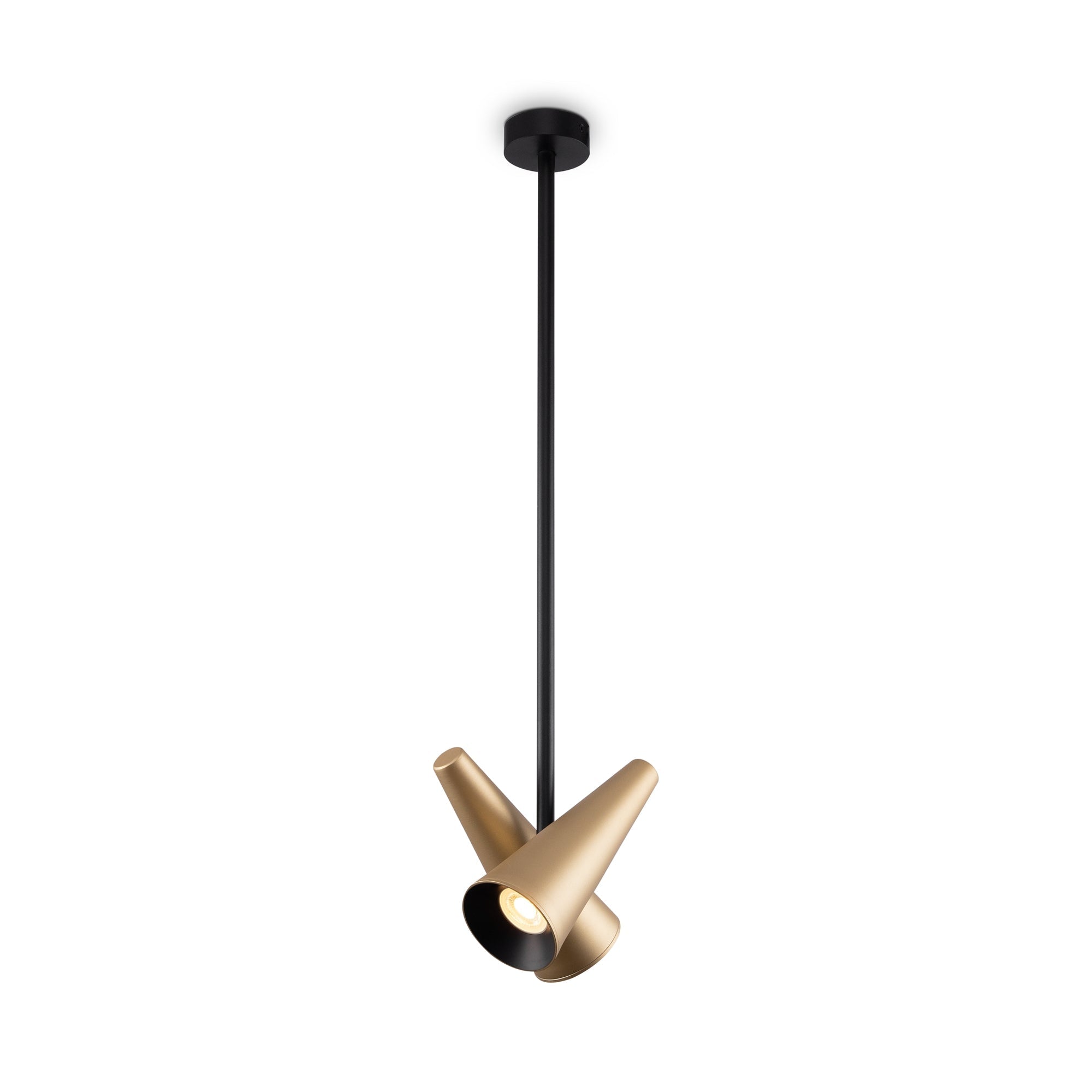 Giro 2/10Lt Centre Ceiling Light