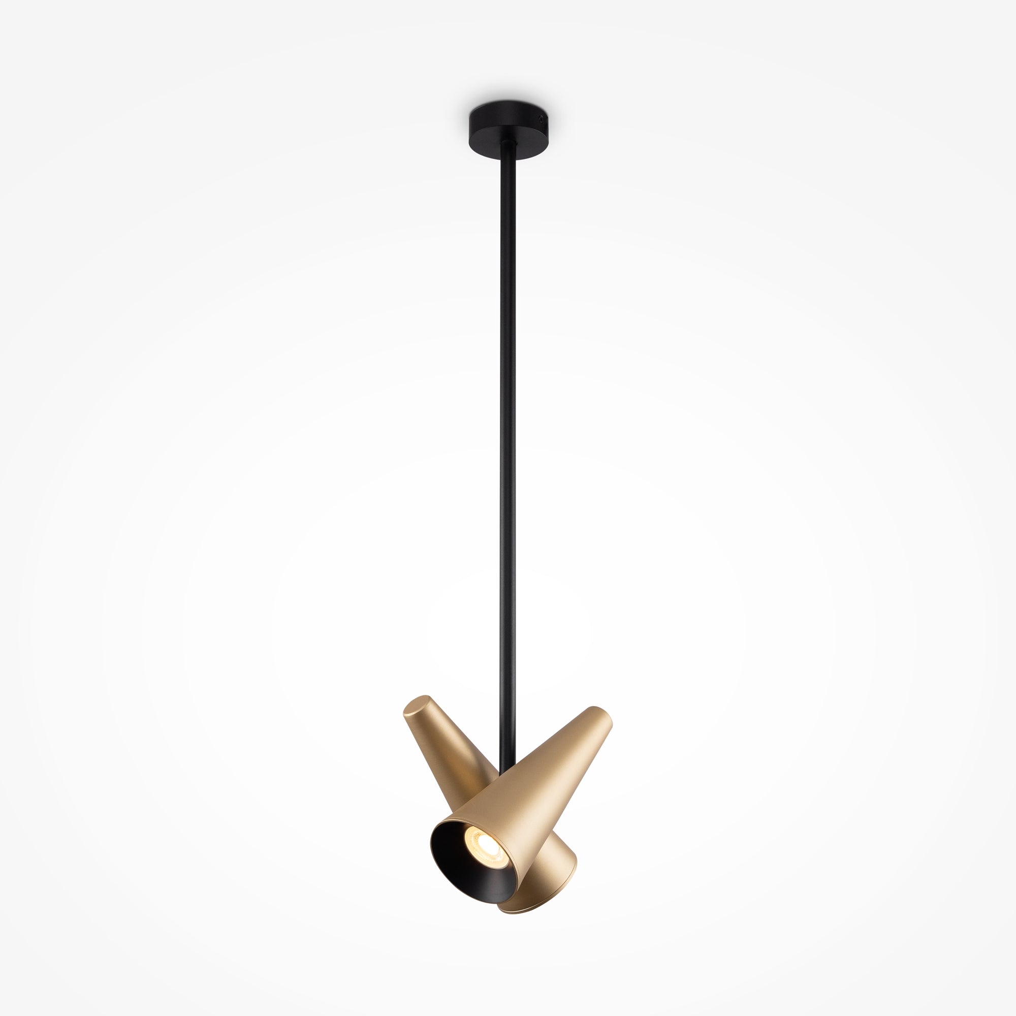 Giro 2/10Lt Centre Ceiling Light