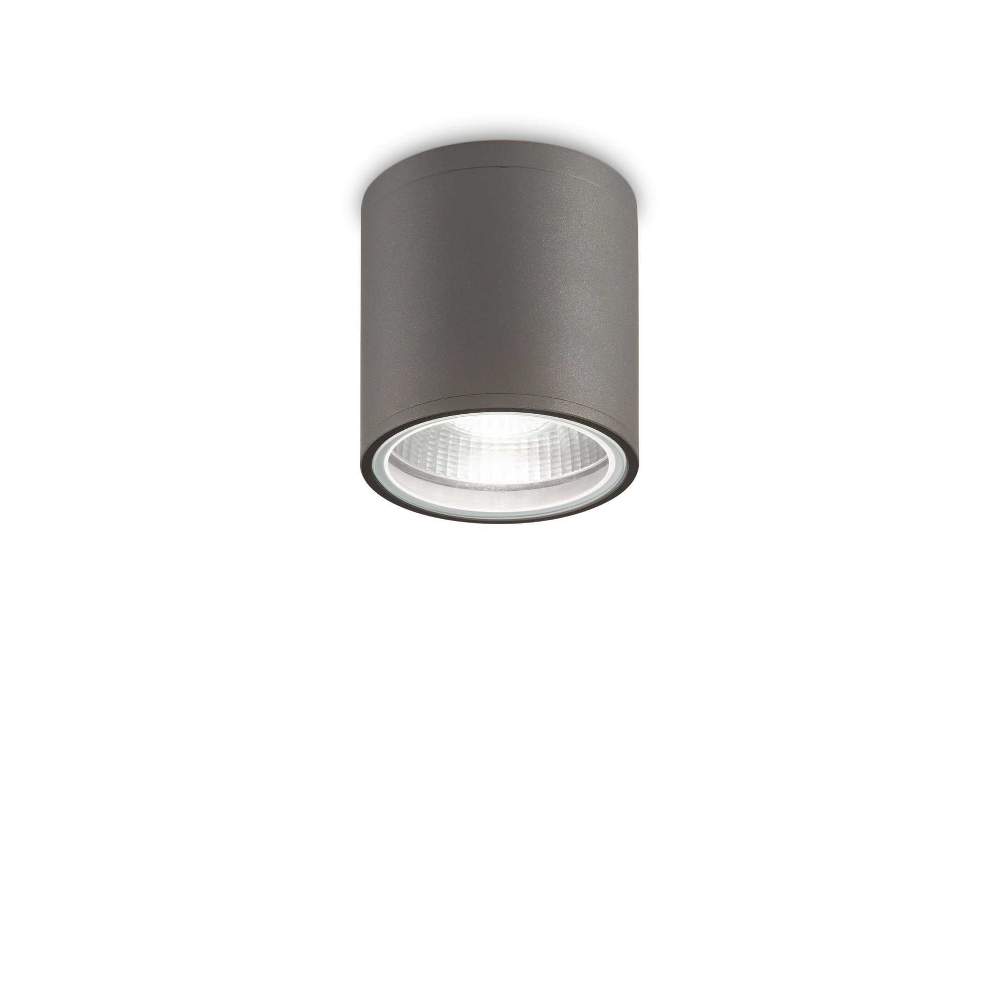 Gun Flush Ceiling light- Various Finish - Cusack Lighting