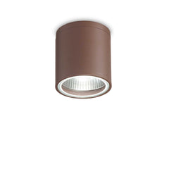 Gun Flush Ceiling light- Various Finish - Cusack Lighting