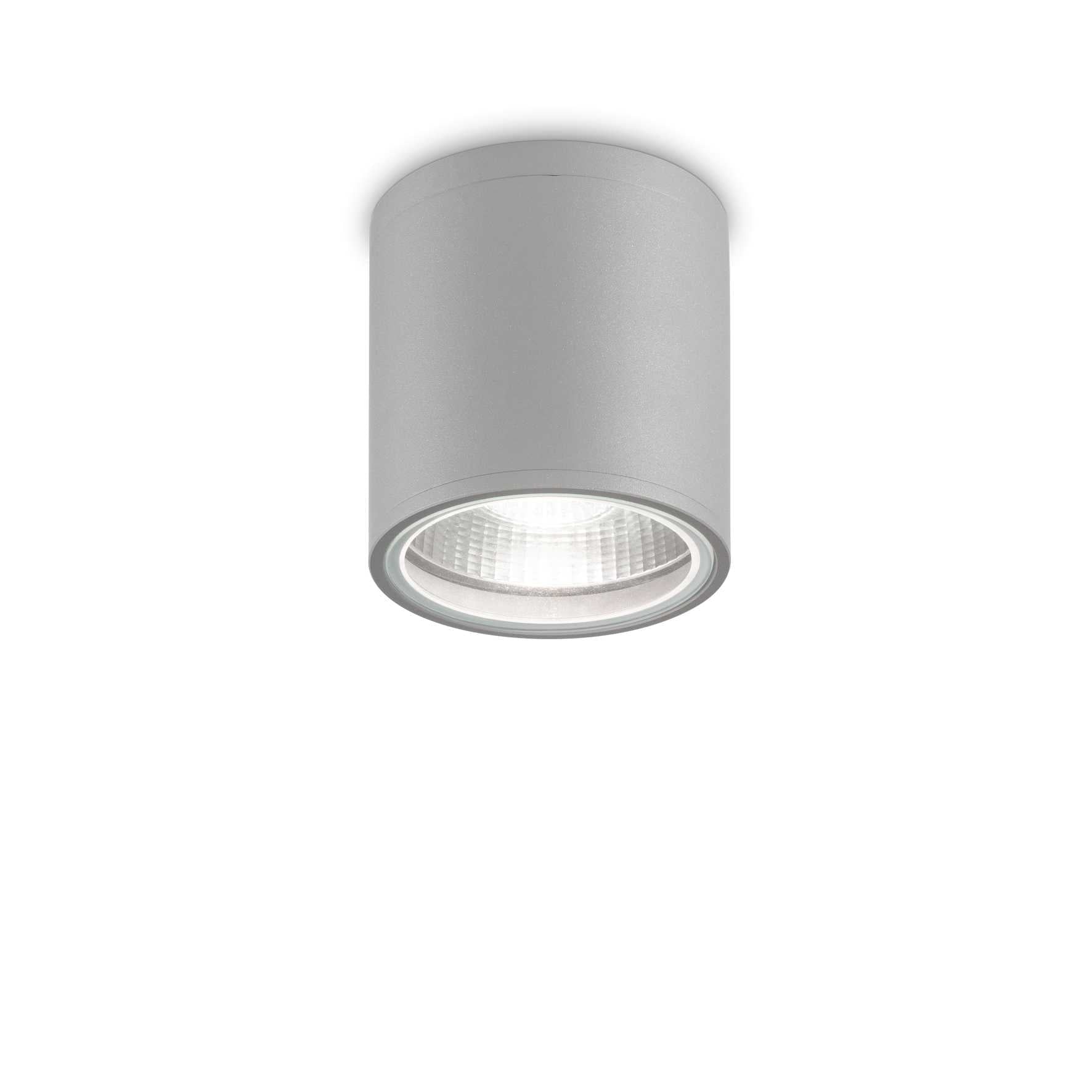 Gun Flush Ceiling light- Various Finish - Cusack Lighting