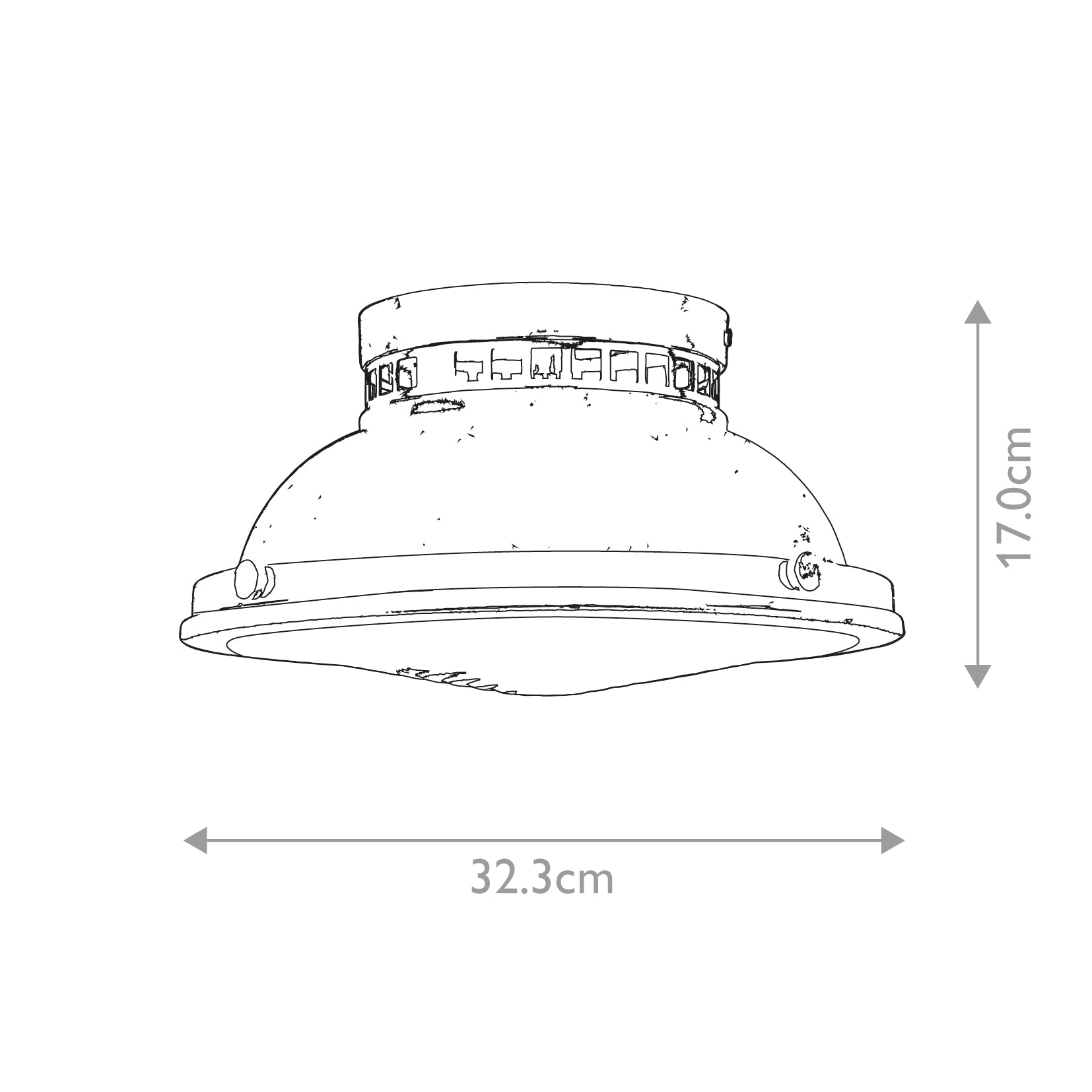 Amelia 2 Light Flush Light E27