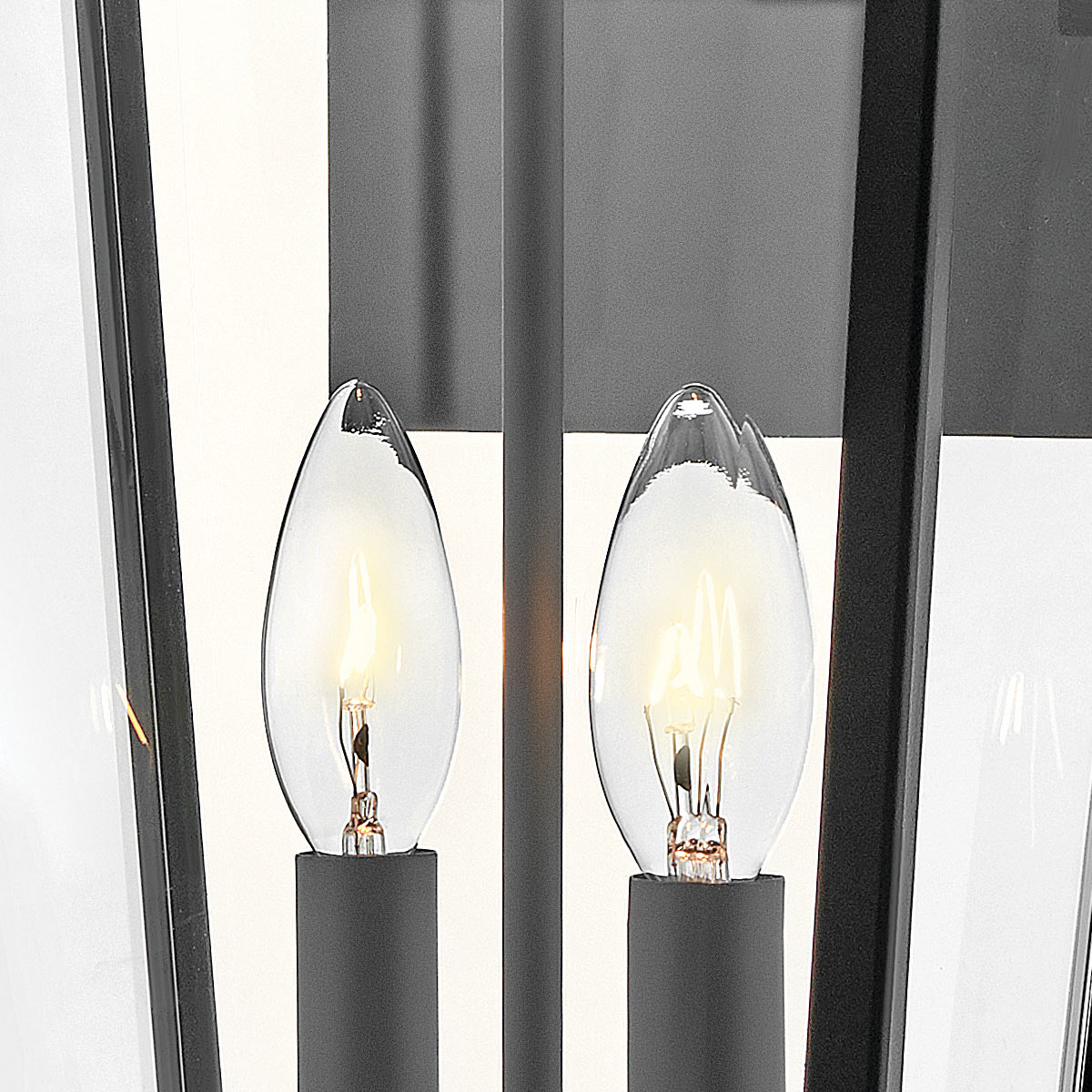 Hinkley Dawson 1 lt Outdoor Large Wall Lantern - Black with Burnished Bronze accent IP44 E14
