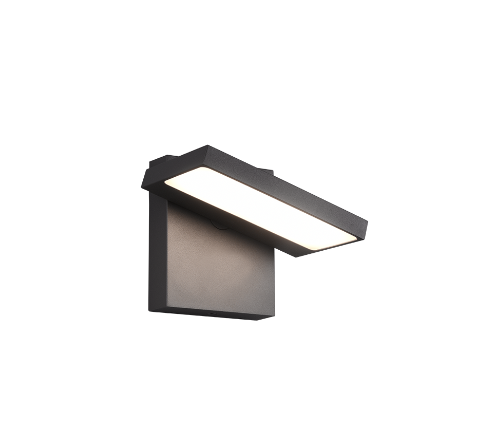 Horton Anthracite IP54 Outdoor LED Wall Light