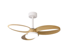 Infinty LED Fan Light w/ Remote Control - Various Colours