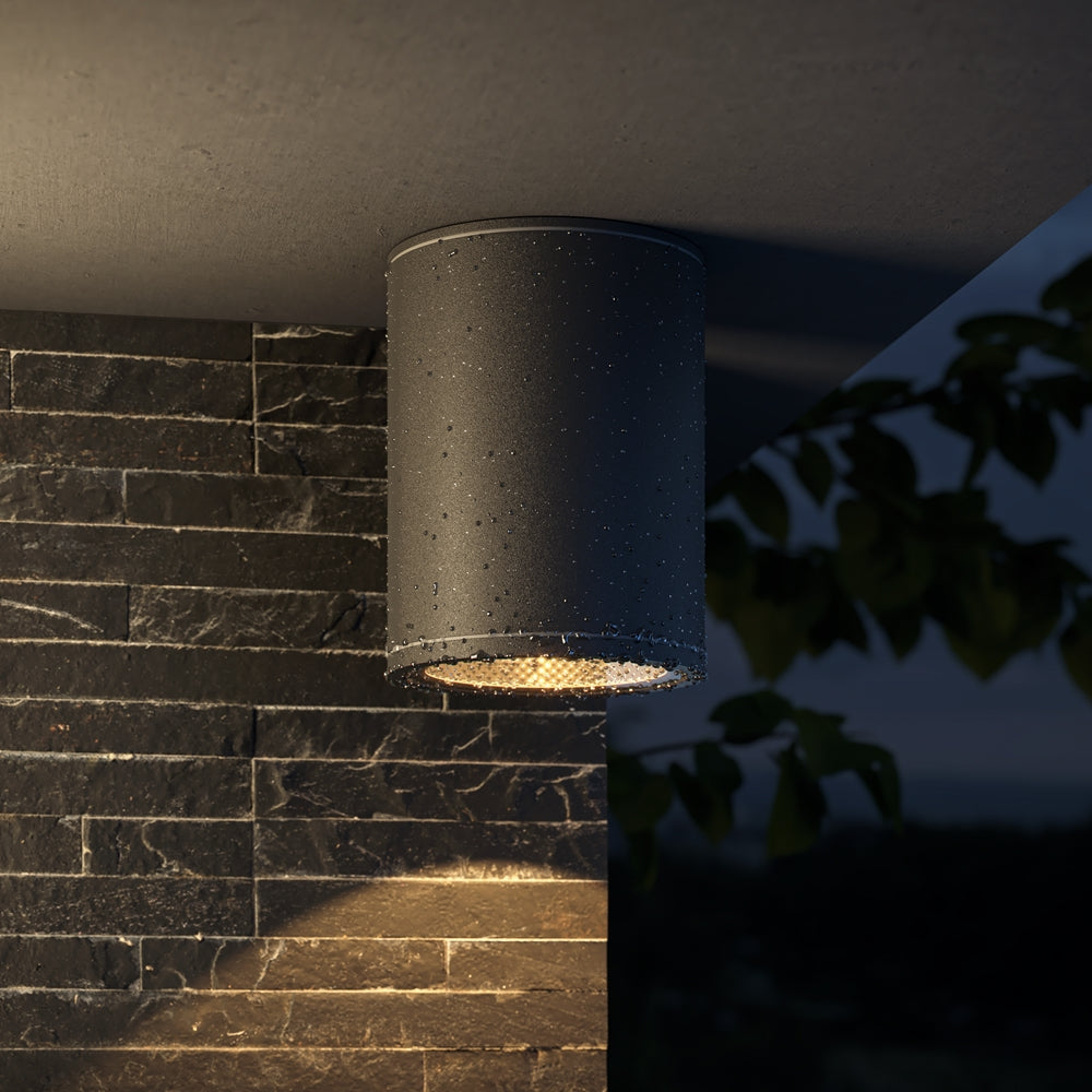 Bar Outdoor Ceiling Spotlight- Graphite Finish