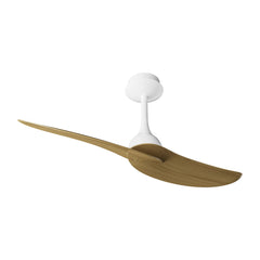 Ipanema LED Light Fan w/ Remote Control - Various Colours