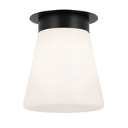 Albers Flush 1 lt Ceiling Light - E27