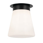 Albers Flush 1 lt Ceiling Light - E27