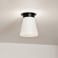 Albers Flush 1 lt Ceiling Light - E27