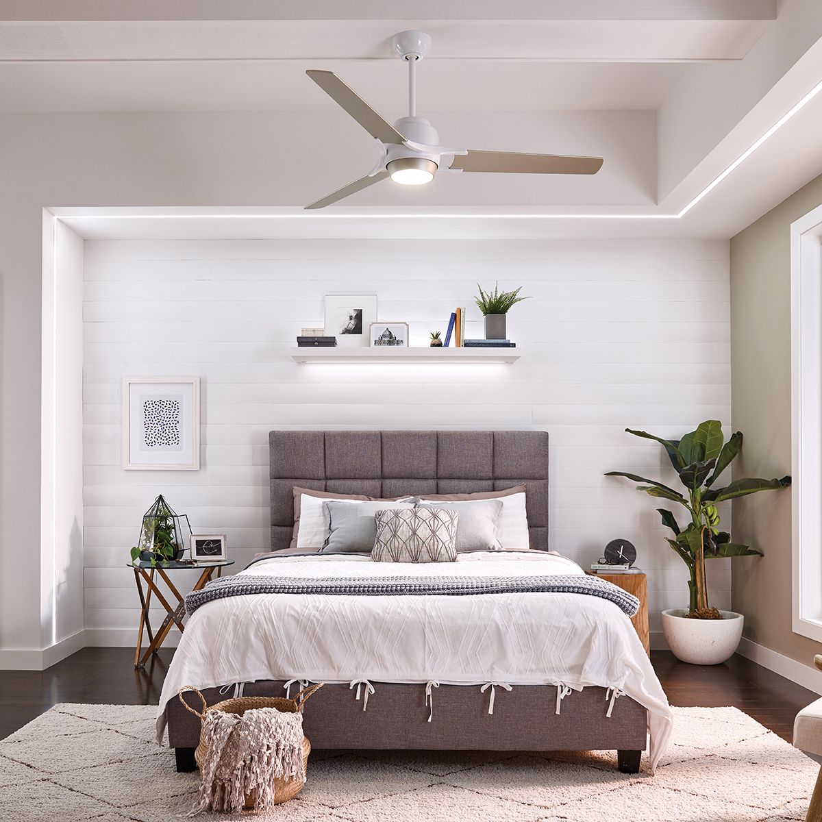 Zeus - 60in / 152cm Fan - Brushed Nickel and White