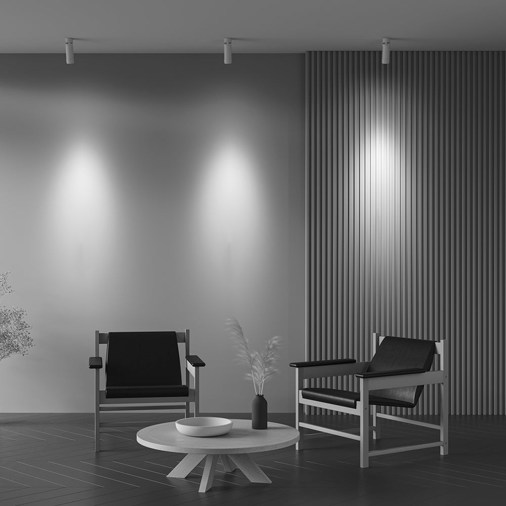 Zoom Focus Ceiling Light- Black & White Finishes