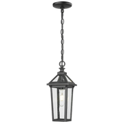 Zurich Outdoor 1/3Lt Pendant Light