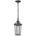 Zurich Outdoor 1/3Lt Pendant Light