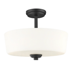 Aspen 3Lt Semi Flush Fitting - Black/Brass