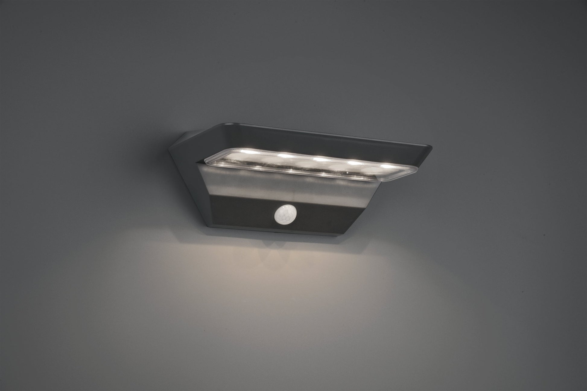 Mendoza LED Solar Wall Light
