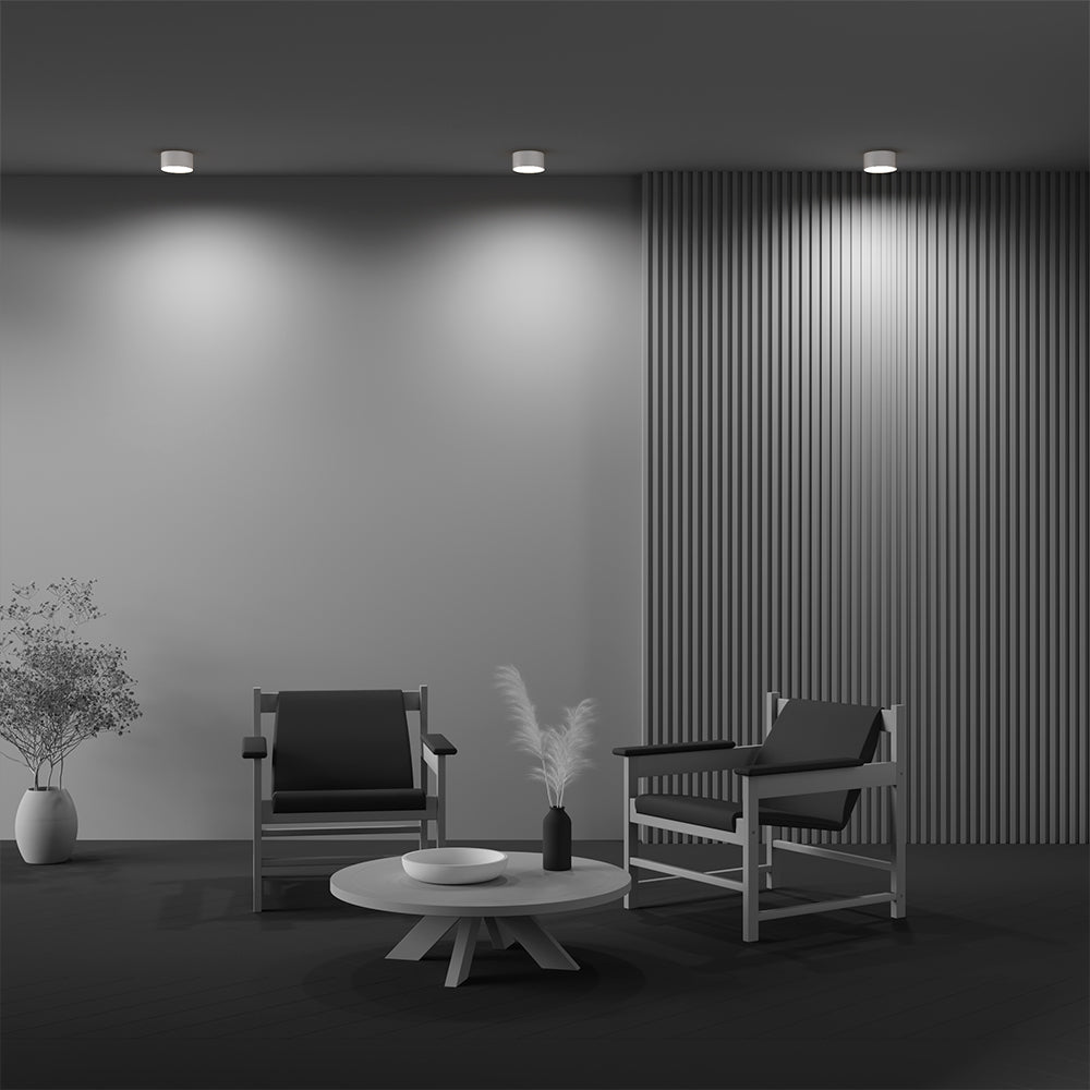 Zon Ceiling  Spotlight