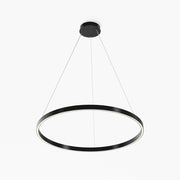 Rim CCT 3000/4000K LED Light - Black/Gold