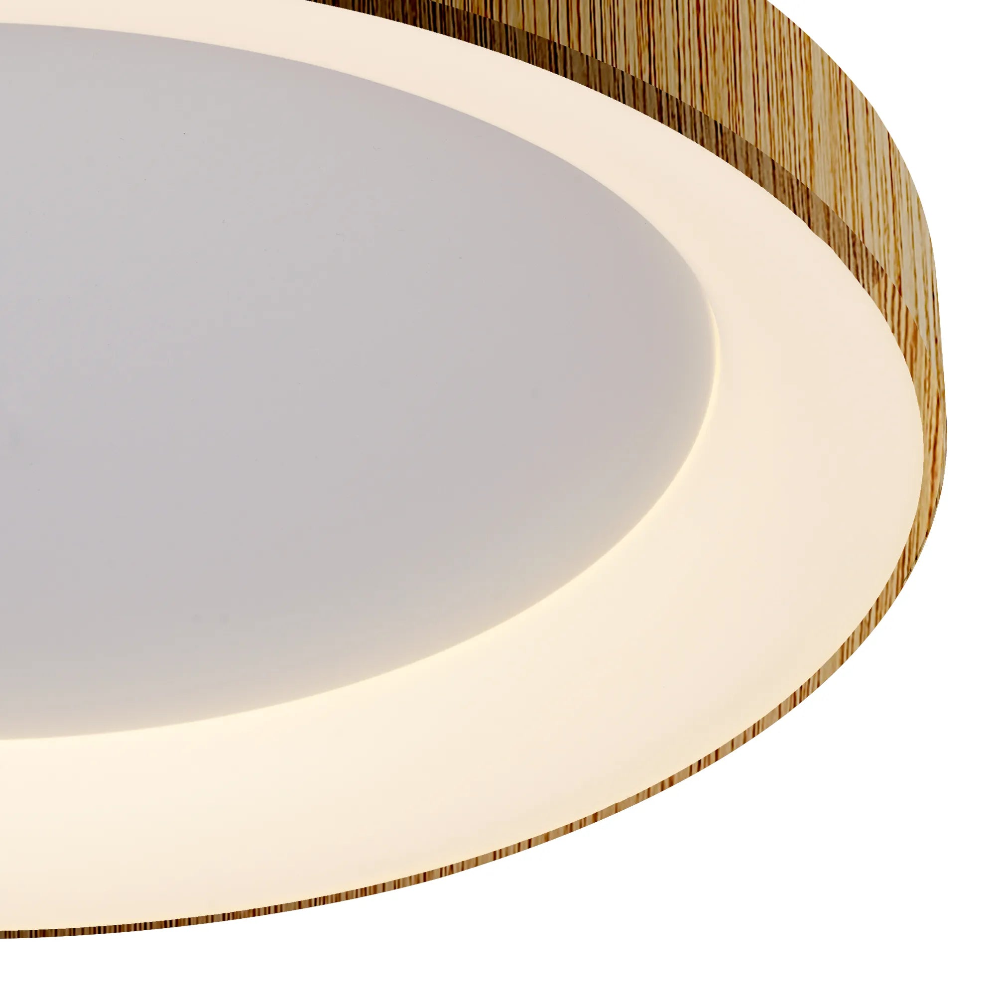 Niseko Ring LED Ceiling Light- Various Finishes & Sizes